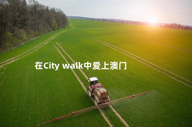 在City walk中爱上澳门